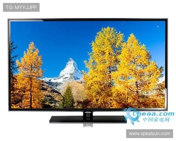 探索ysb体育官网地址：畅享全新在线娱乐体验